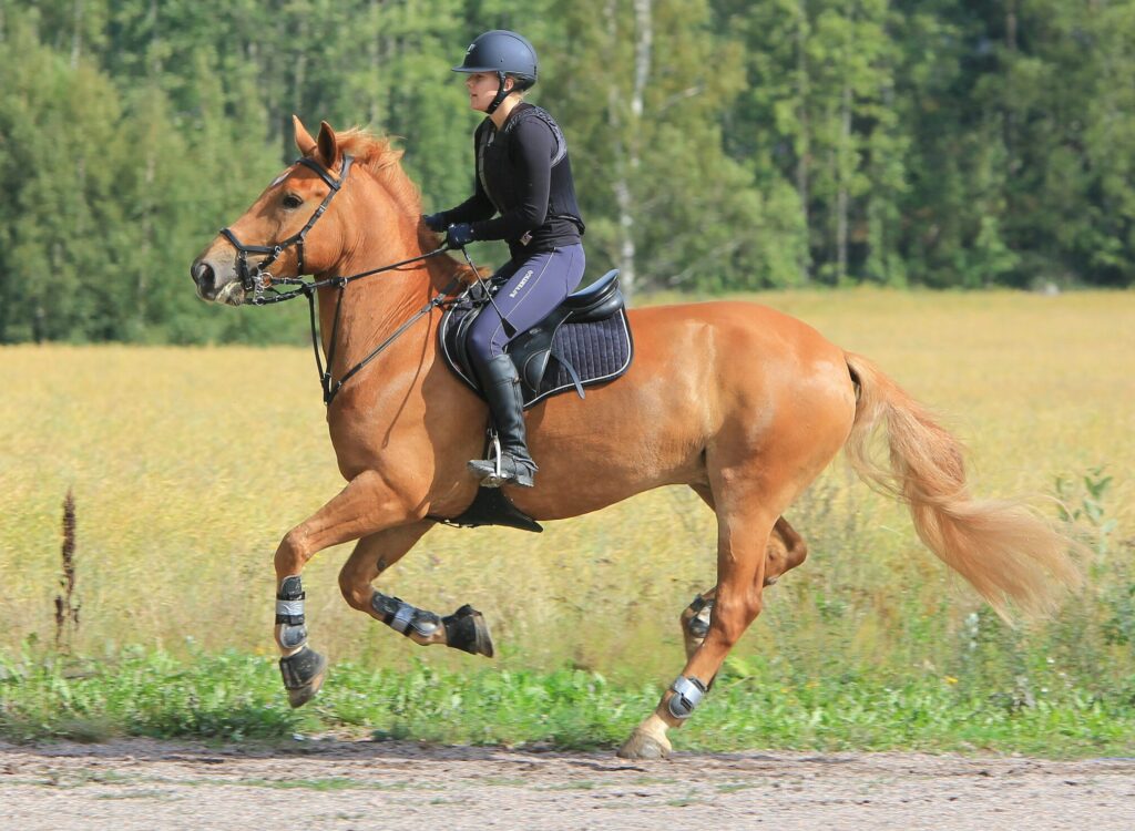 Caballo y mujer. El estudio demostró que la gran mayoría de abortos espontáneos en yeguas durante los primeros meses ocurrieron debido a una triploidía, lo que podría arrogar pistas en los embarazos humanos.