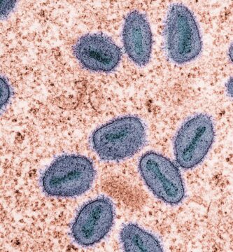 Patógenos. Viruela del mono o viruela símica. La OMS ha calificado a este patógeno como prioridad alta.